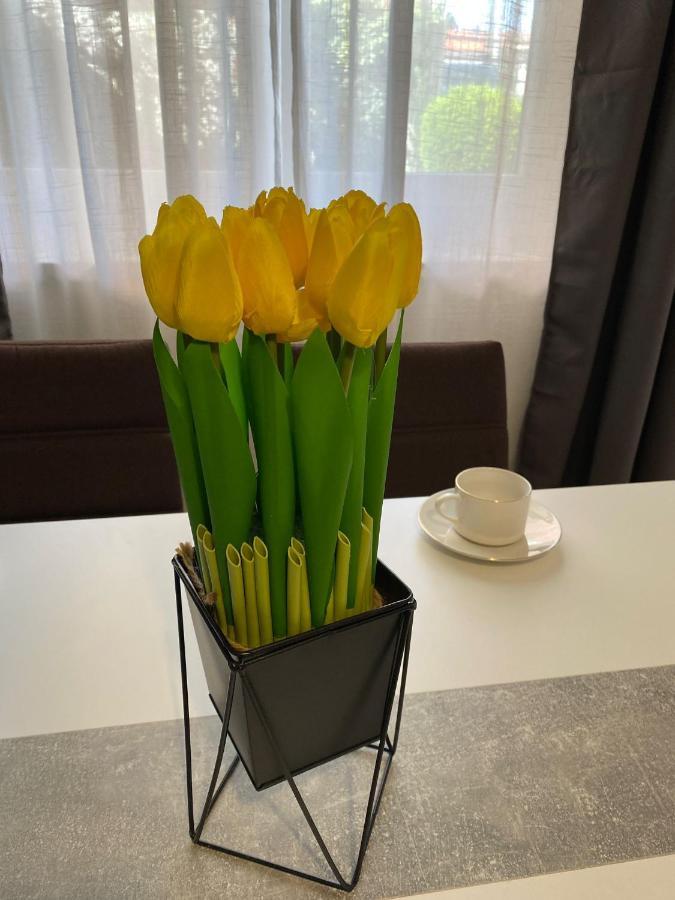 Apartment Dora Zadar Eksteriør bilde